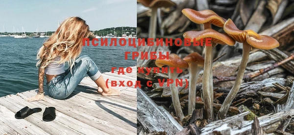 стафф Вязники