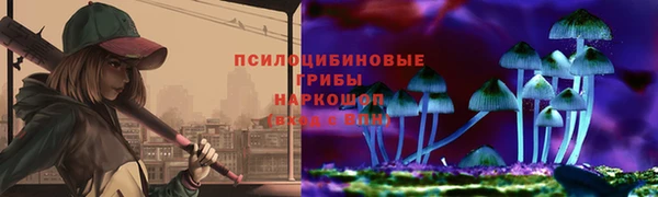 гашик Горнозаводск