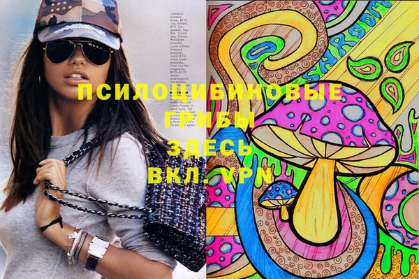 a pvp Вязьма