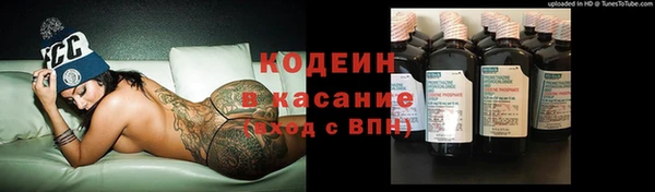 МДПВ Вяземский