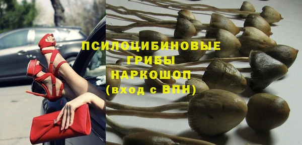 a pvp Вязьма