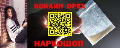 шишки Дубна