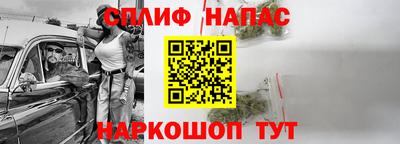 шишки Дубна