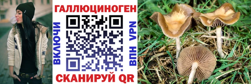 Галлюциногенные грибы Psilocybe даркнет сайт Мценск