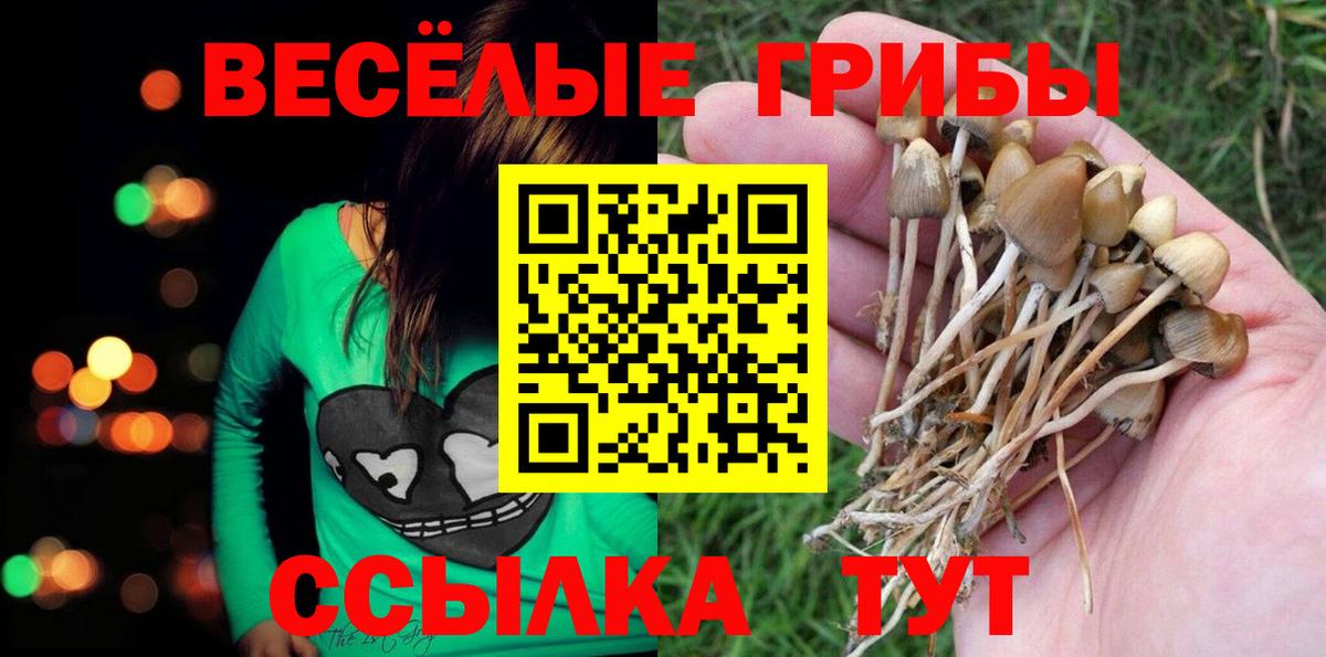 Галлюциногенные грибы Magic Shrooms Мценск